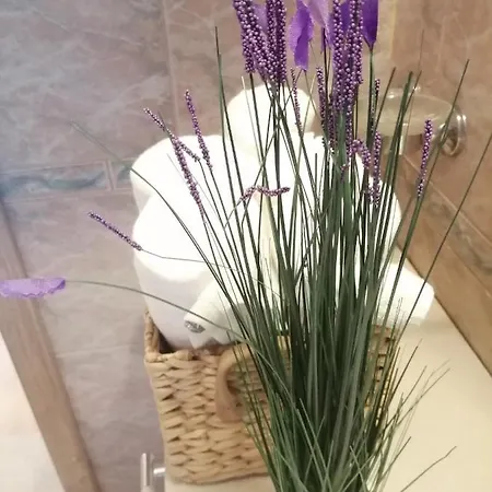 Appartement Anica House